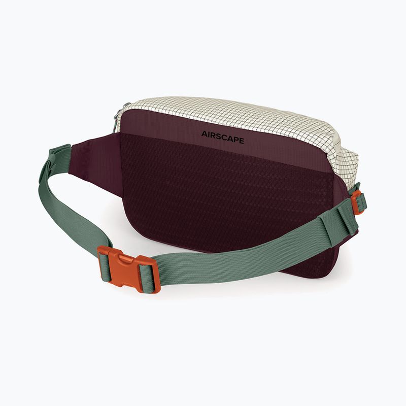 Marsupio cintura Osprey Transporter Waist Pack 3 l mystery white/moody burgundy 3