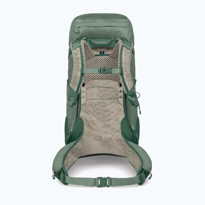 Zaino da trekking da uomo Osprey Stratos 44 l pine leaf 3