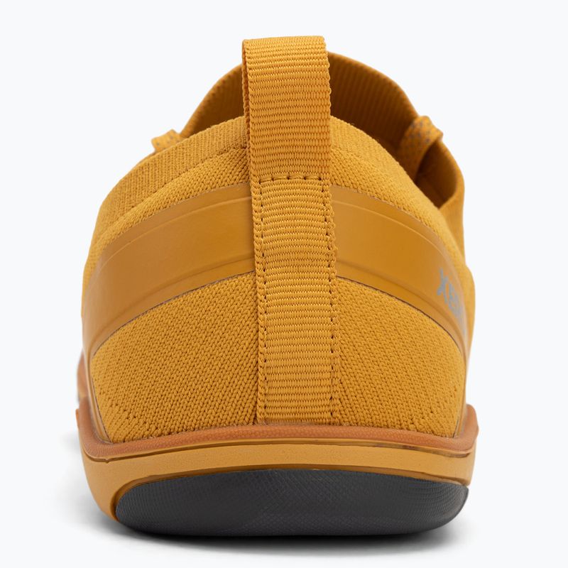 Scarpe da uomo a piedi nudi Xero Shoes Nexus Knit oro 6