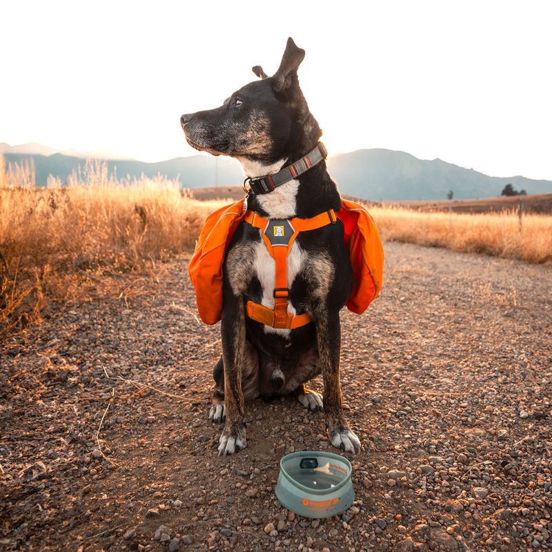 Ciotola per cane HydraPak Rover sutro green 4