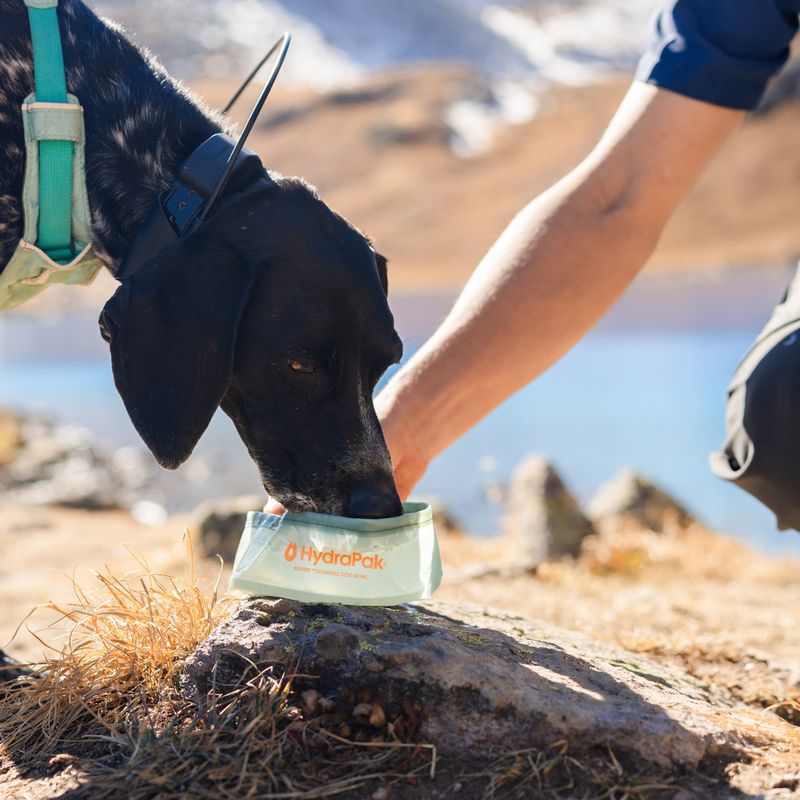 Ciotola per cane HydraPak Rover sutro green 6