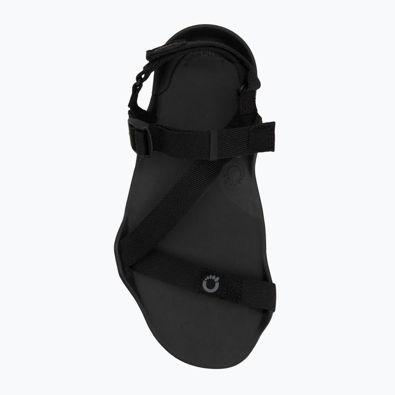 Sandali a piedi nudi da uomo Xero Shoes Z-Trek nero 4