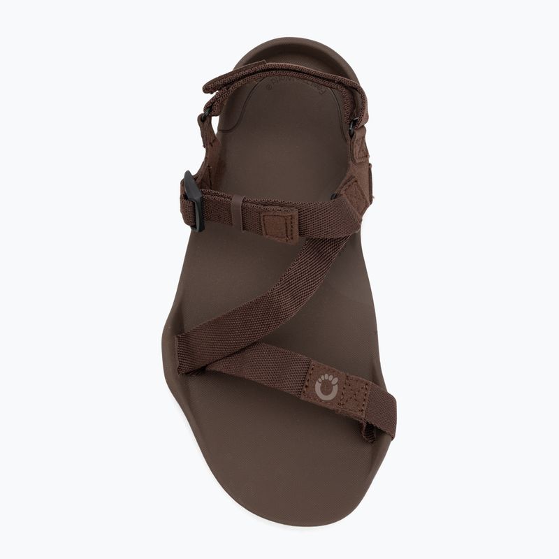 Sandali a piedi nudi da uomo Xero Shoes Z-Trek marrone 5
