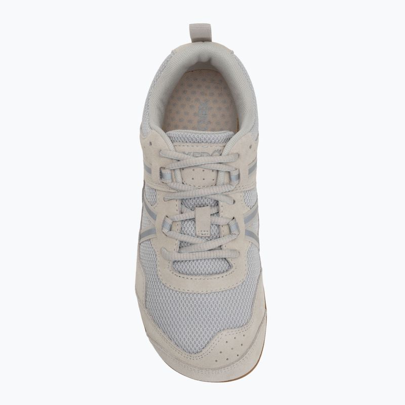 Scarpe da donna a piedi nudi Xero Shoes Prio Suede quiet gray 5
