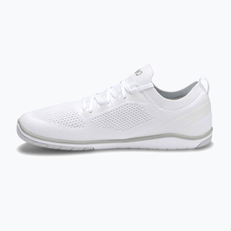 Scarpe barefoot da donna Xero Shoes Nexus Knit white 2