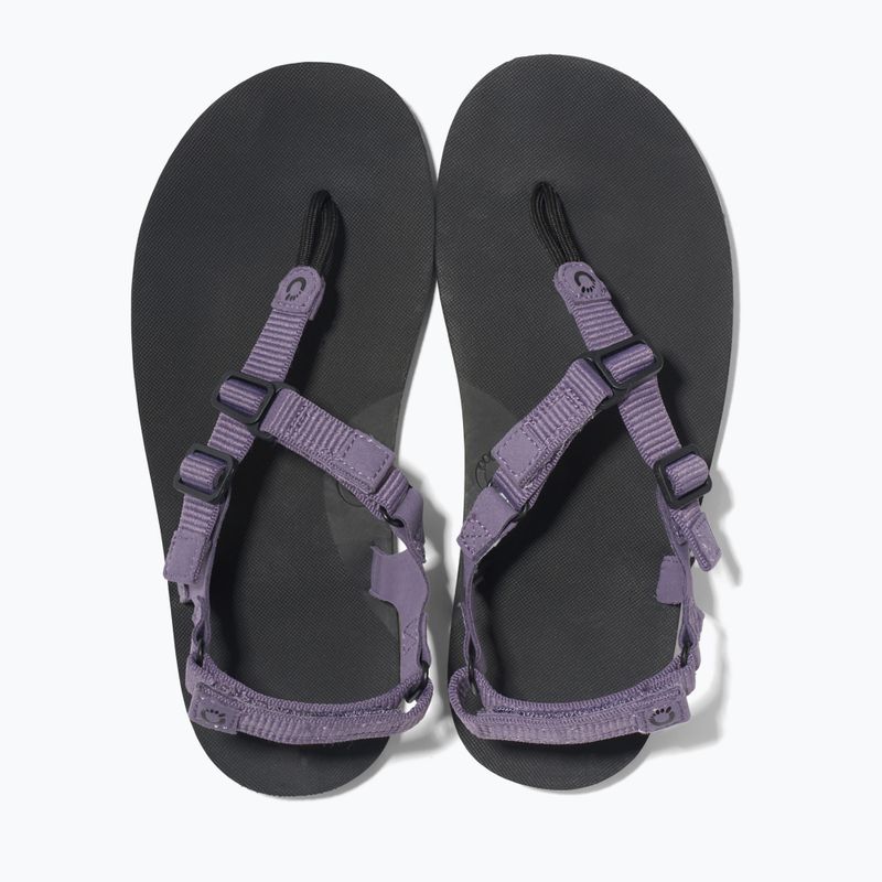Sandali a piedi nudi da donna Xero Shoes H-Trail sage purple 6