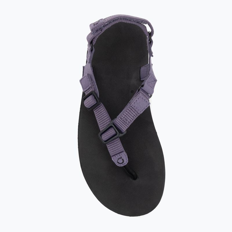 Sandali a piedi nudi da donna Xero Shoes H-Trail sage purple 5