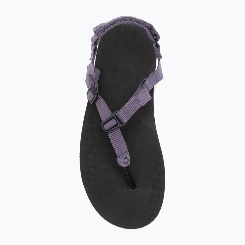 Sandali a piedi nudi da donna Xero Shoes H-Trail sage purple HTW-SGPU 5