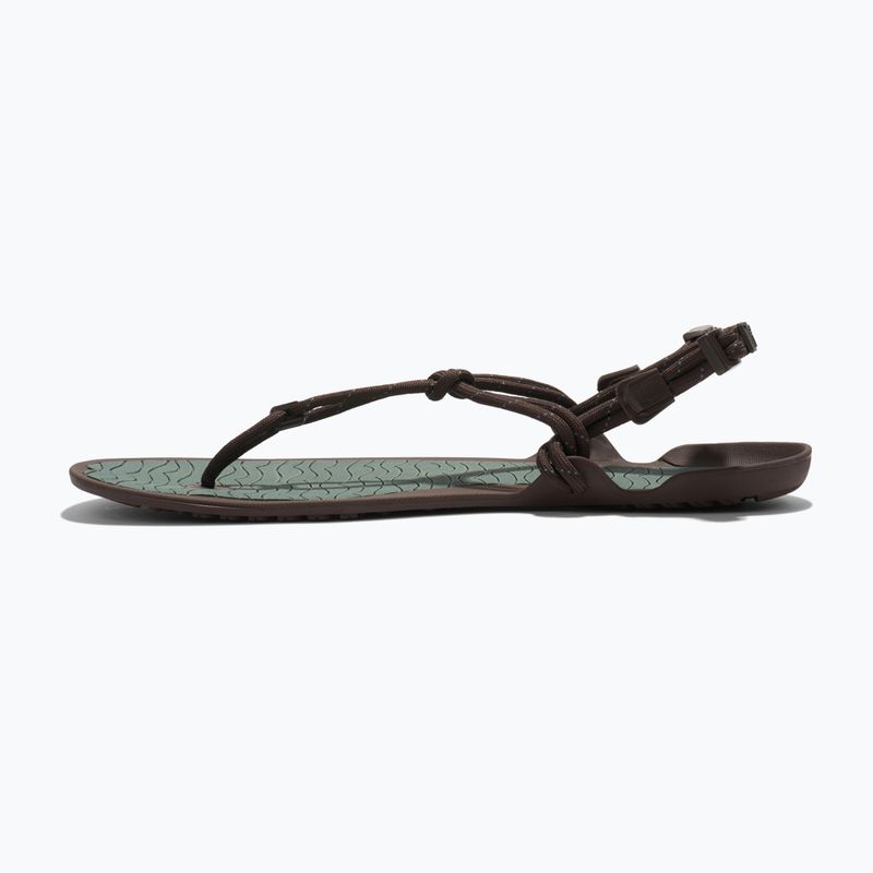 Sandali barefoot da uomo Xero Shoes Aqua Cloud java/brown/dark/forest 2