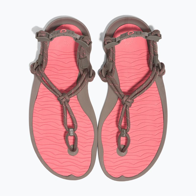 Sandali a piedi nudi da donna Xero Shoes Aqua Cloud moel/sunset coral 8