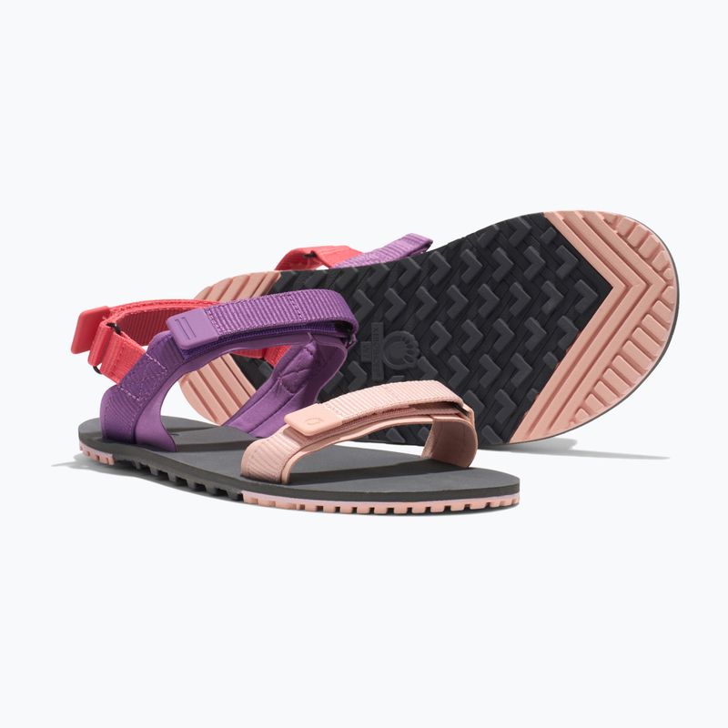 Sandali a piedi nudi da donna Xero Shoes D-Trail devberry / multi 6