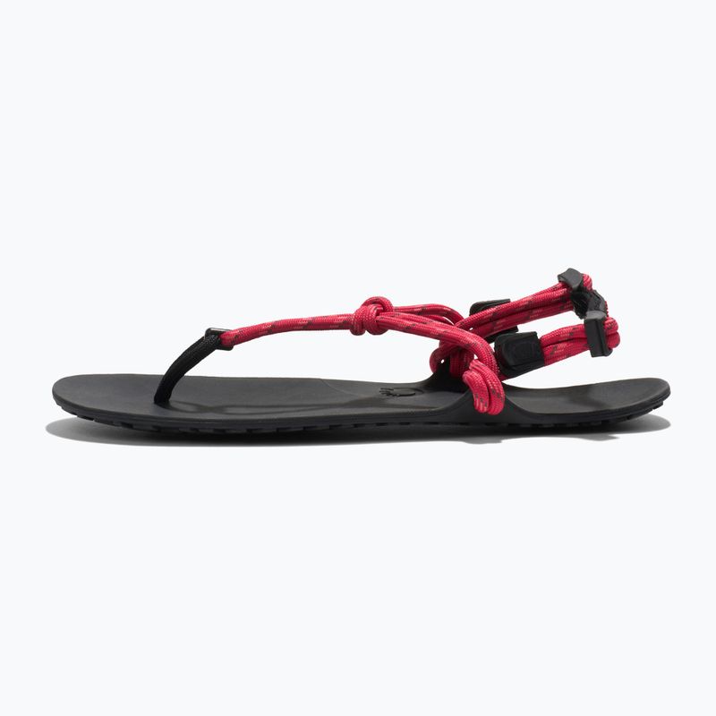 Sandali a piedi nudi da donna Xero Shoes Genesis raspberry 2