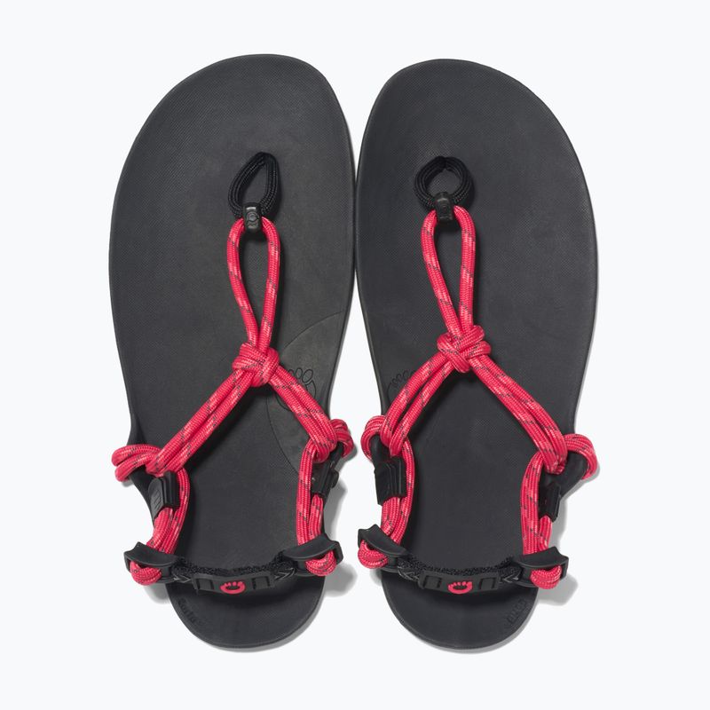 Sandali a piedi nudi da donna Xero Shoes Genesis raspberry 5