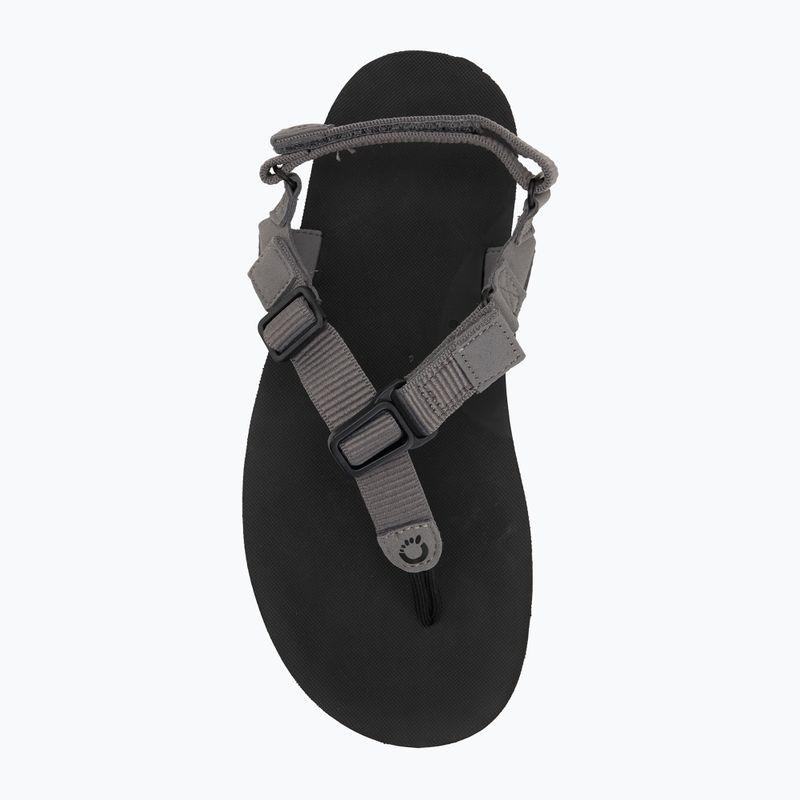 Sandali da uomo a piedi nudi Xero Shoes H-Trail acciaio grigio/blu/lolite 5