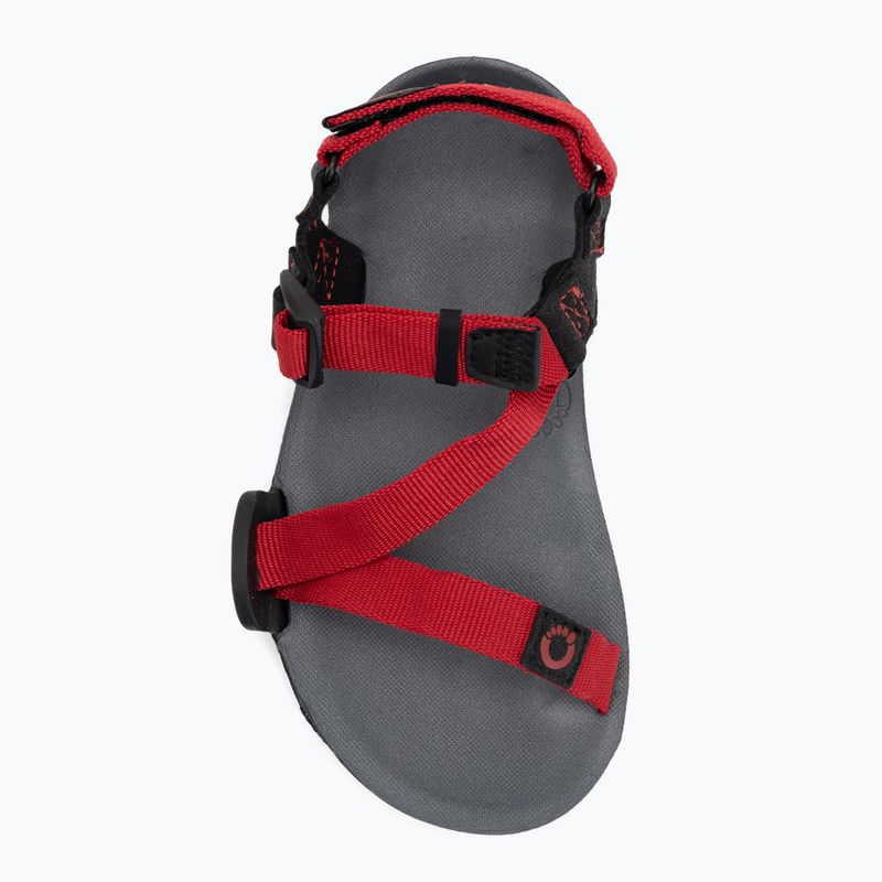 Scarpe Xero per bambini a piedi nudi Z-Trail, sandali con pepe rosso/carboncino 5