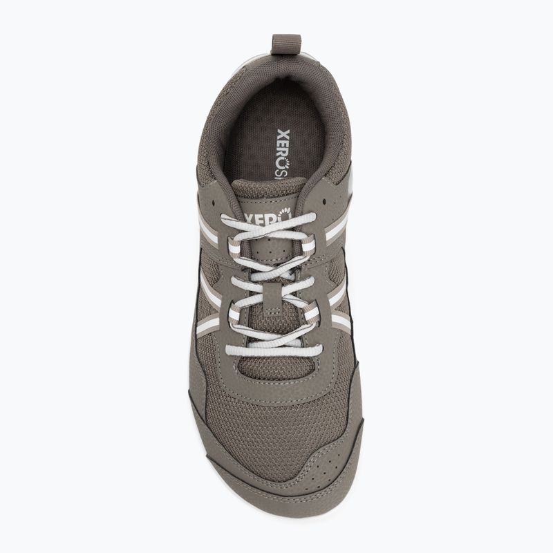 Scarpe da uomo a piedi nudi Xero Shoes Prio cadute / roccia 5