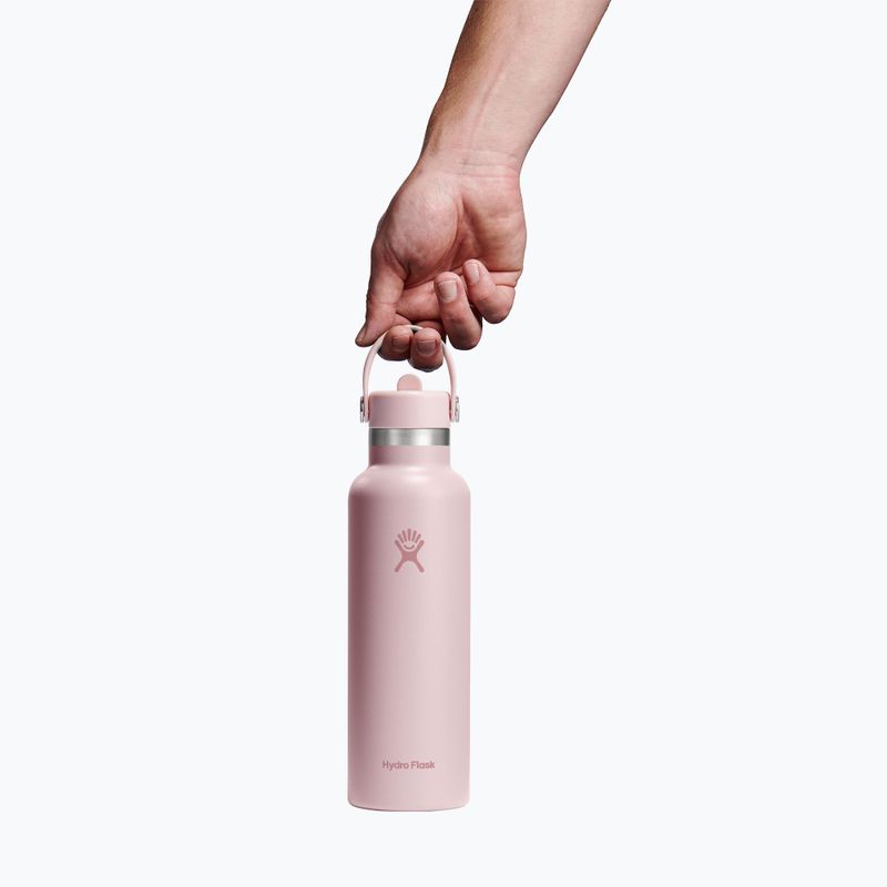 Borraccia termica Hydro Flask Standard Flex 621 ml Trillium 3