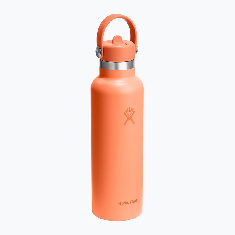 Borraccia termica Hydro Flask Standard Flex Straw 620 ml nettare 2