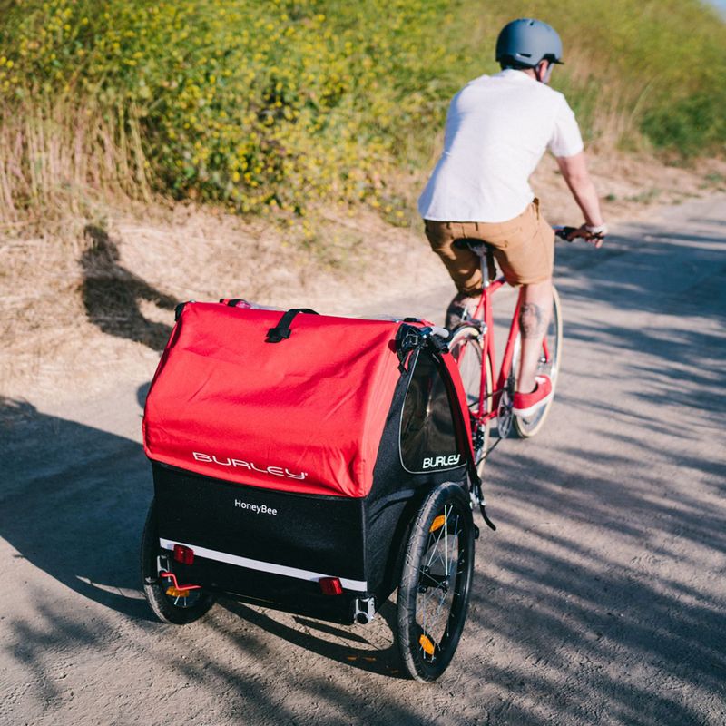 Rimorchio per biciclette Burley Honey Bee 2021 rosso 11