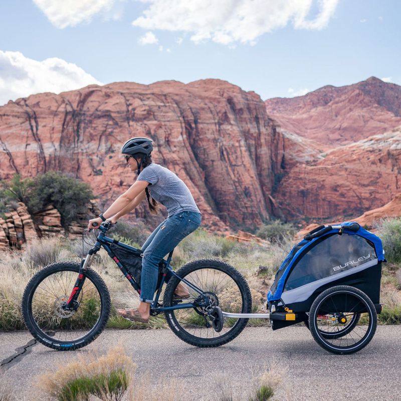 Rimorchio per biciclette Burley D'Lite X Double aqua 13