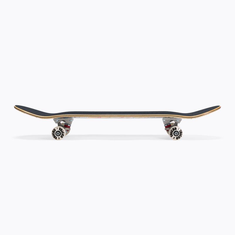 Trucchi classici dello skateboard LSD Completo 3
