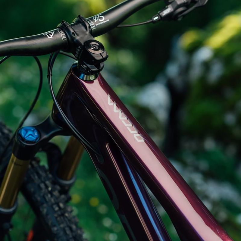 Orbea Occam M10 LT 2022 mirtillo metallizzato mountain bike 3