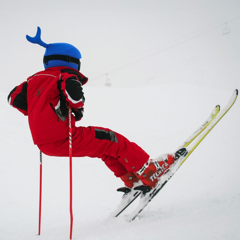 Copricasco COOLCASC Whale 8