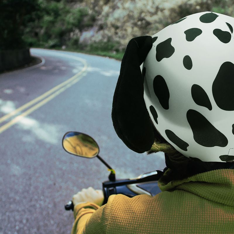 Copricasco COOLCASC Dalmatian 8