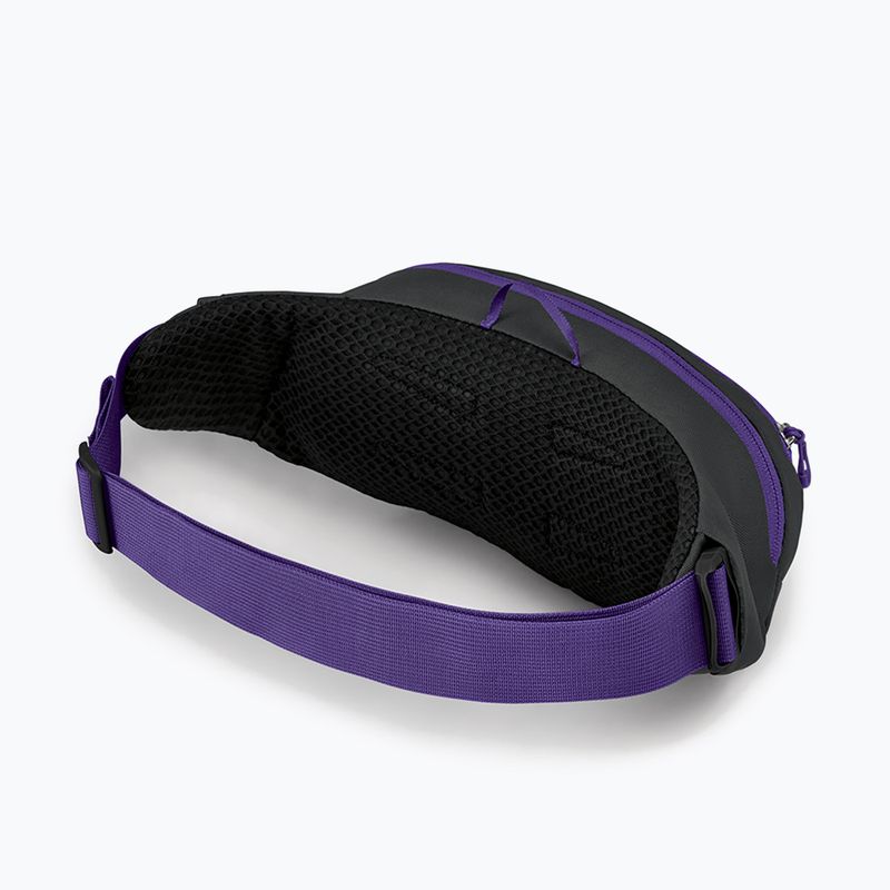 Osprey Daylite Waist kidney pouch grigio medio/carbone scuro 10
