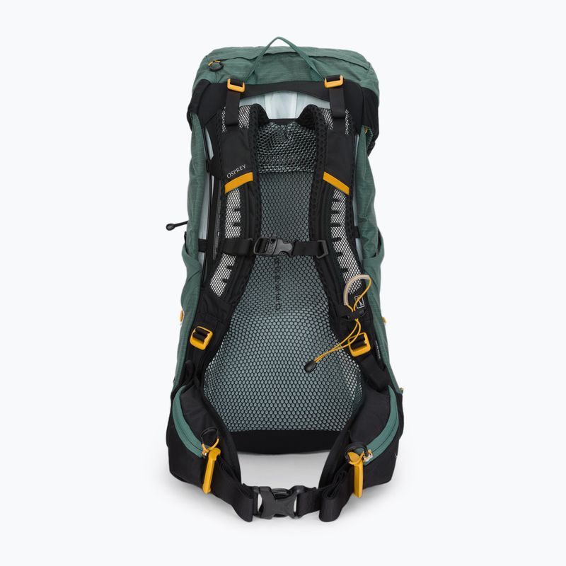 Zaino da escursionismo Osprey Sirrus 26 l da donna verde succulento 3