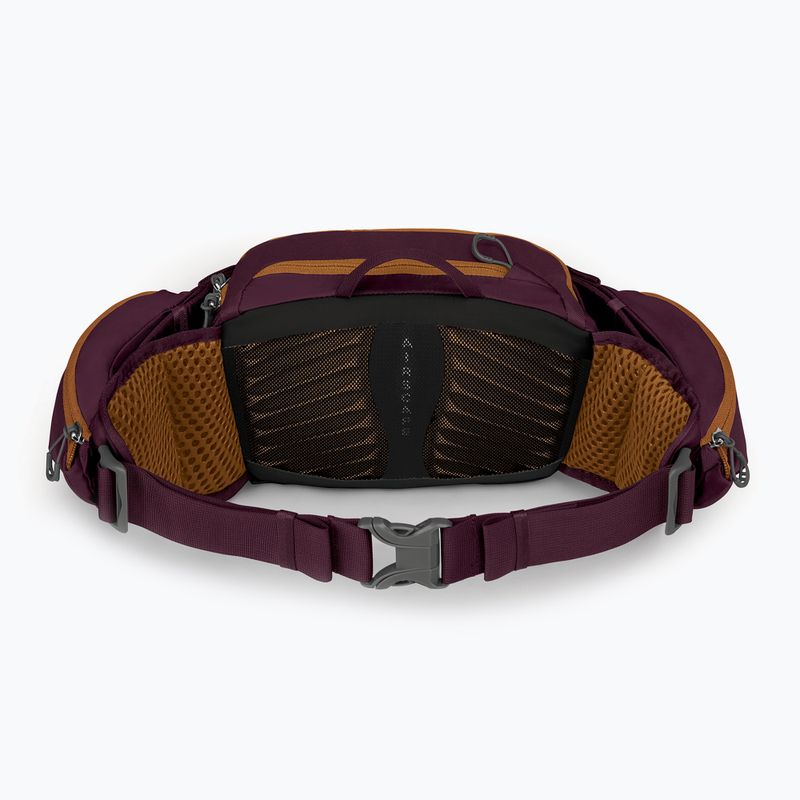 Custodia per bicicletta Osprey Savu 5 aprium viola 3