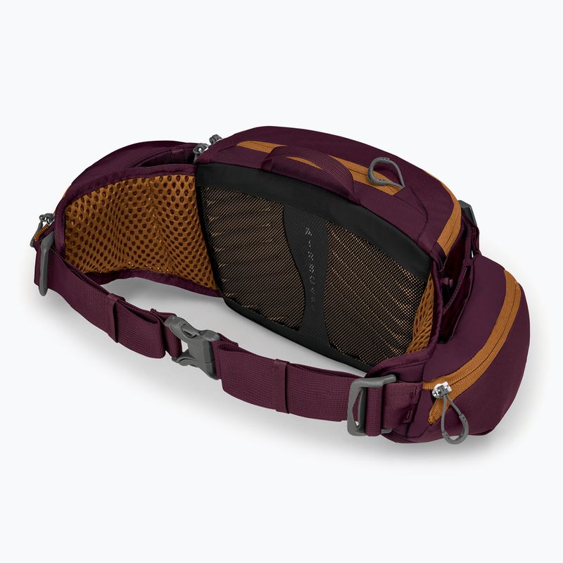 Custodia per bicicletta Osprey Savu 5 aprium viola 4