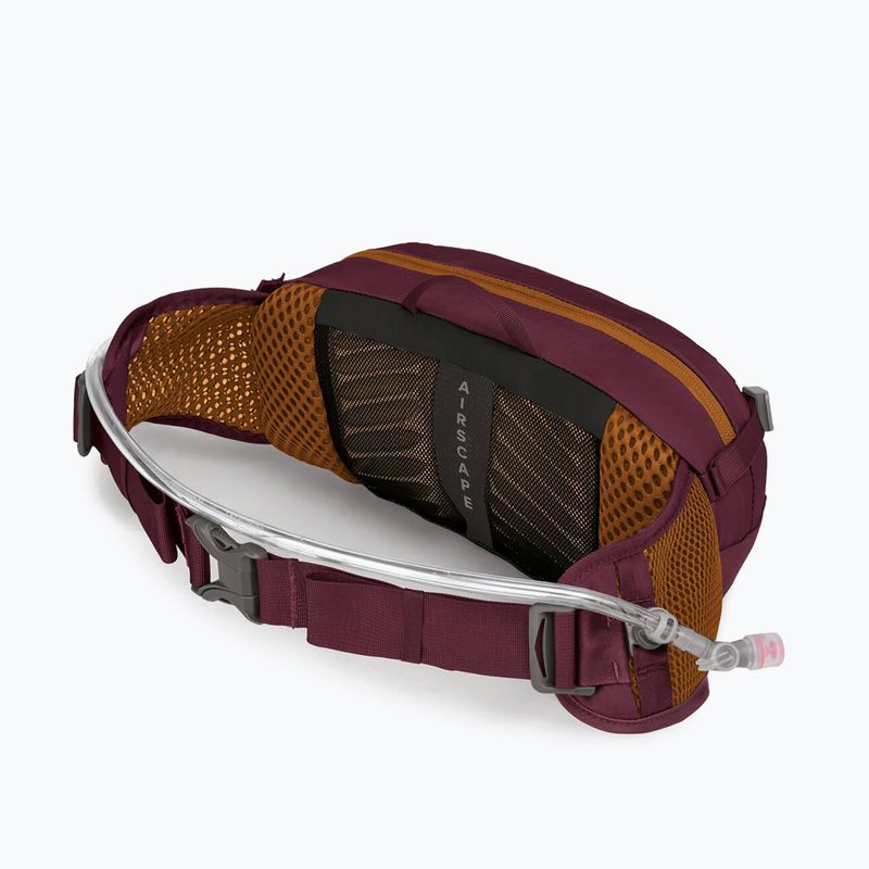 Osprey Seral 4 l aprium purple bicycle briefcase 7