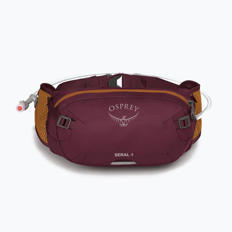 Osprey Seral 4 l aprium purple bicycle briefcase 9