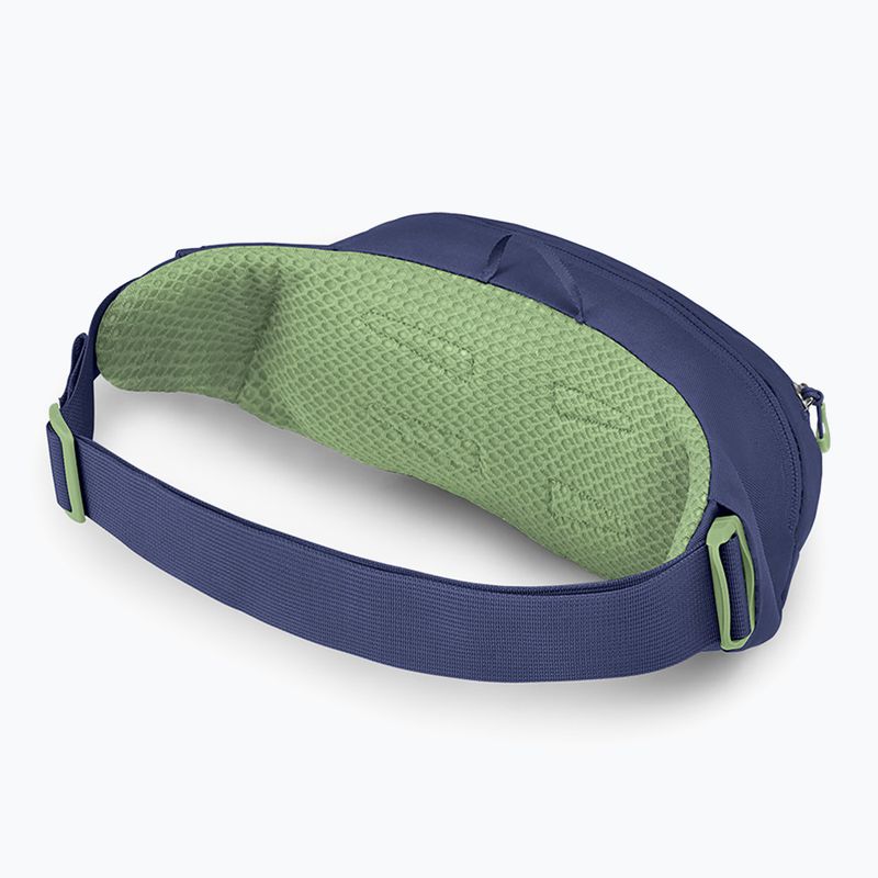 Marsupio Osprey Daylite Waist 2 l blu spikemoss/alcalino 2