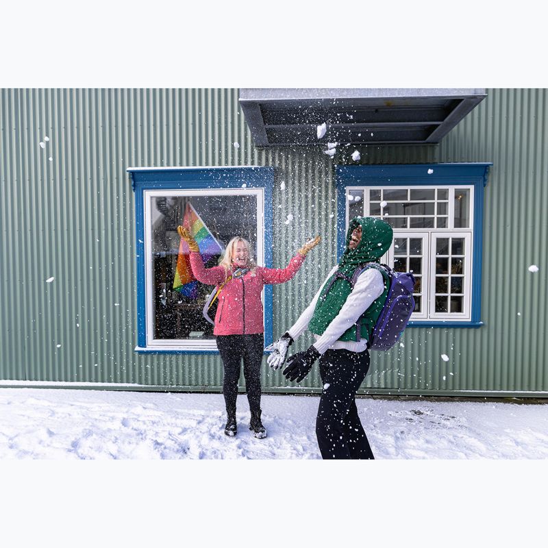 Osprey Transporter Roll Top 20 l zaino da città euphoria viola 8