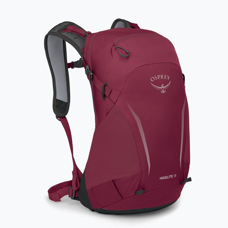 Zaino da trekking Osprey Hikelite 18 l camaleonte / nero 2