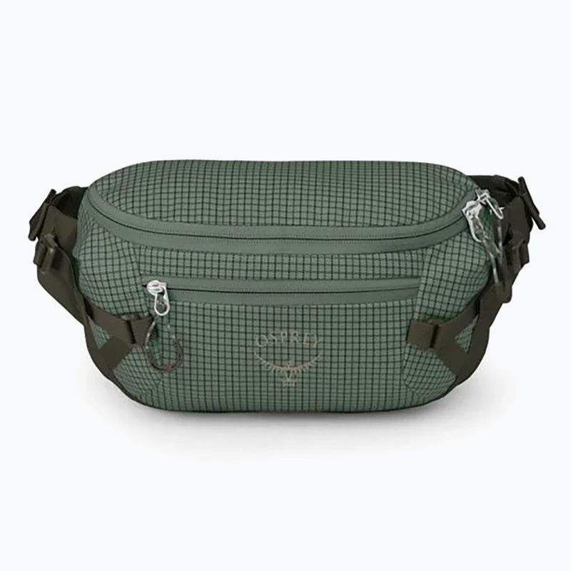 Osprey Transporter Waist Pack 3 l Borsa renna in foglia di pino