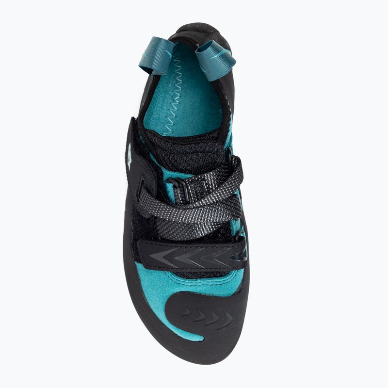 Scarpe da arrampicata da donna Evolv Kira teal 6