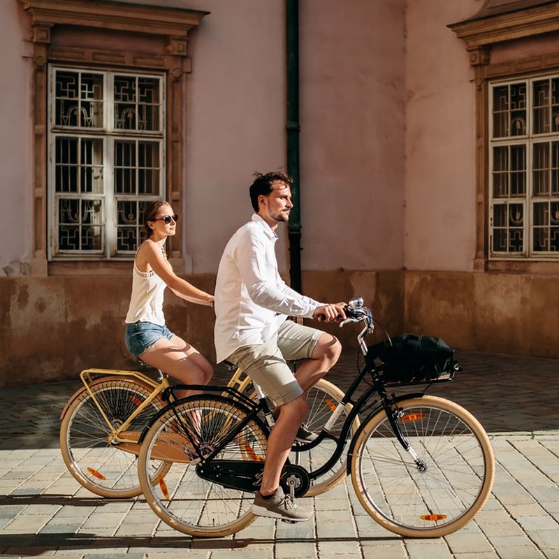 Kellys Royal Dutch 460 mentolo city bike 4