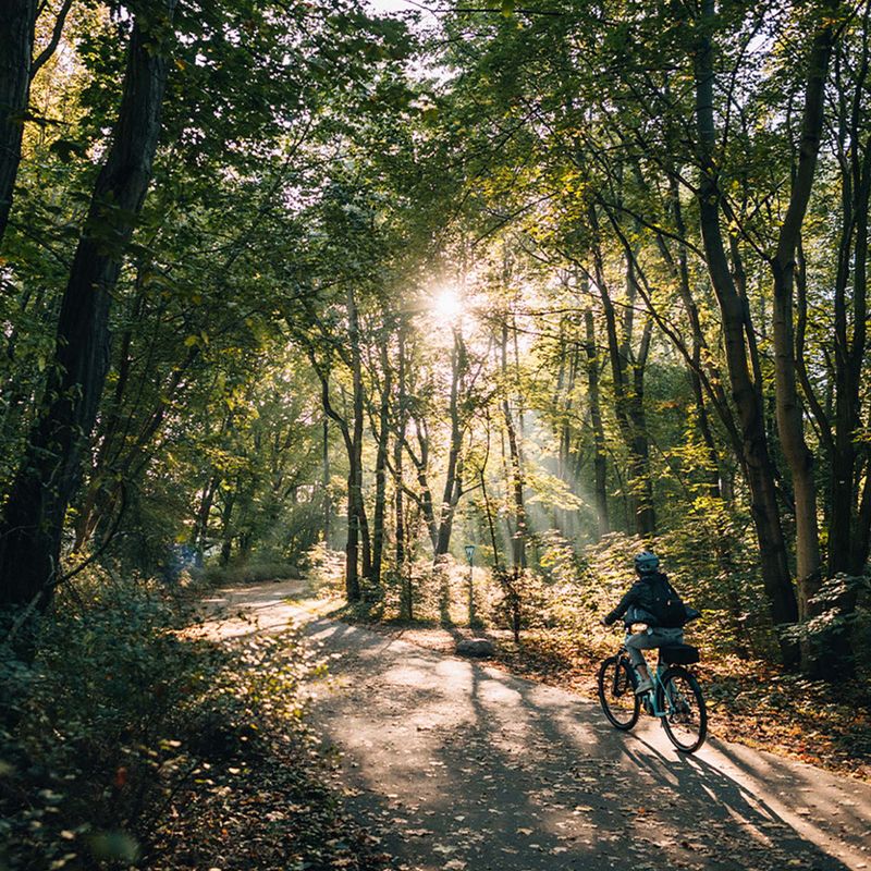 Bicicletta da trekking da donna Kellys Cristy 40 viola 9