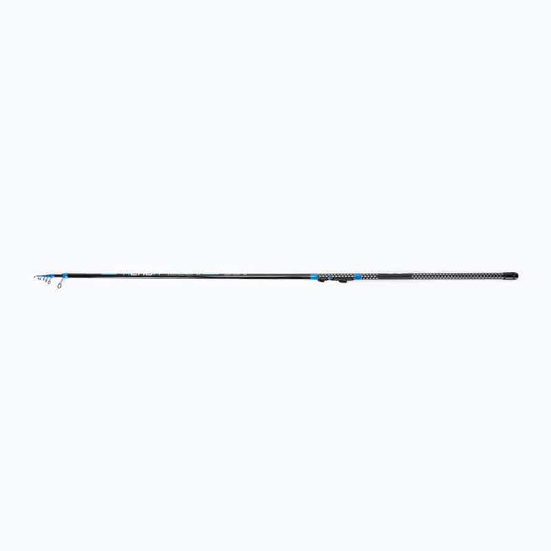 Asta nera Delphin Xenon 140921400