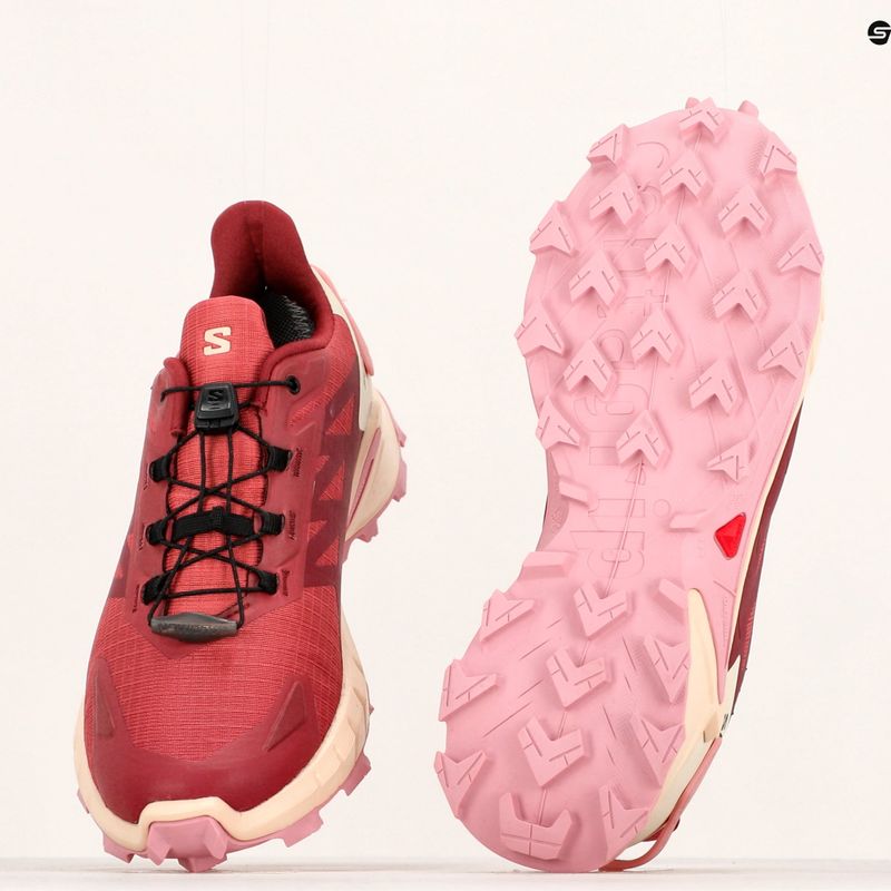 Scarpe da corsa da donna Salomon Supercross 4 GTX pelle di mucca/syrah/blush 14
