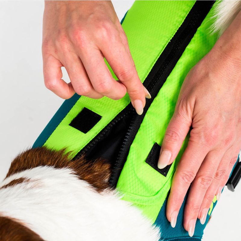 JOBE Pet Vest gilet di sicurezza per cani lime/teal 5