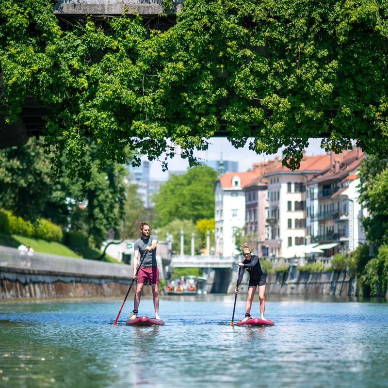 tavola da SUP JOBE Sena 11'0" 15