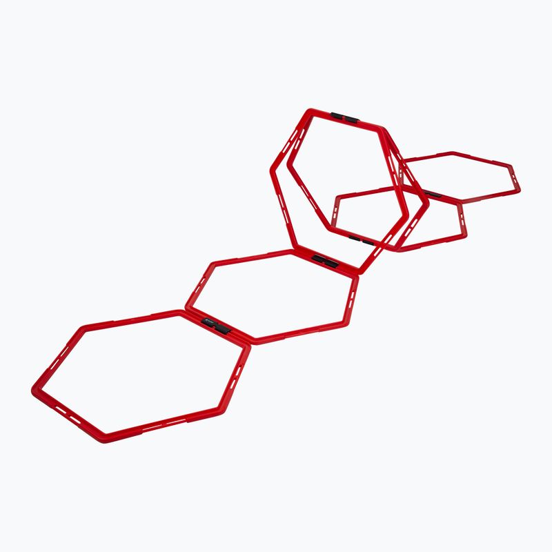 Pure2Improve scala di coordinamento esagonale rosso 2817