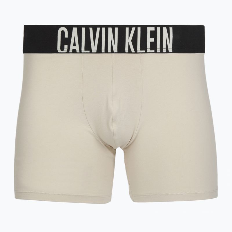 Boxer Calvin Klein 000NB3609A Boxer Brief 3 pairs oatmeal/aged redwood/bright turquoise 2