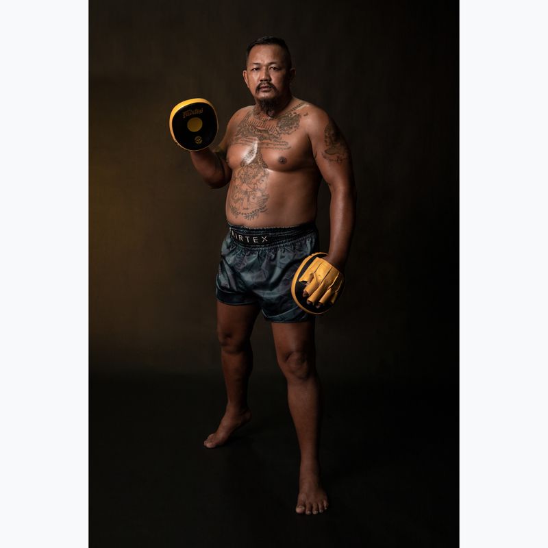 Fairtex Speed & Accuracy Focus Mitts nero/oro zampe da addestramento 4