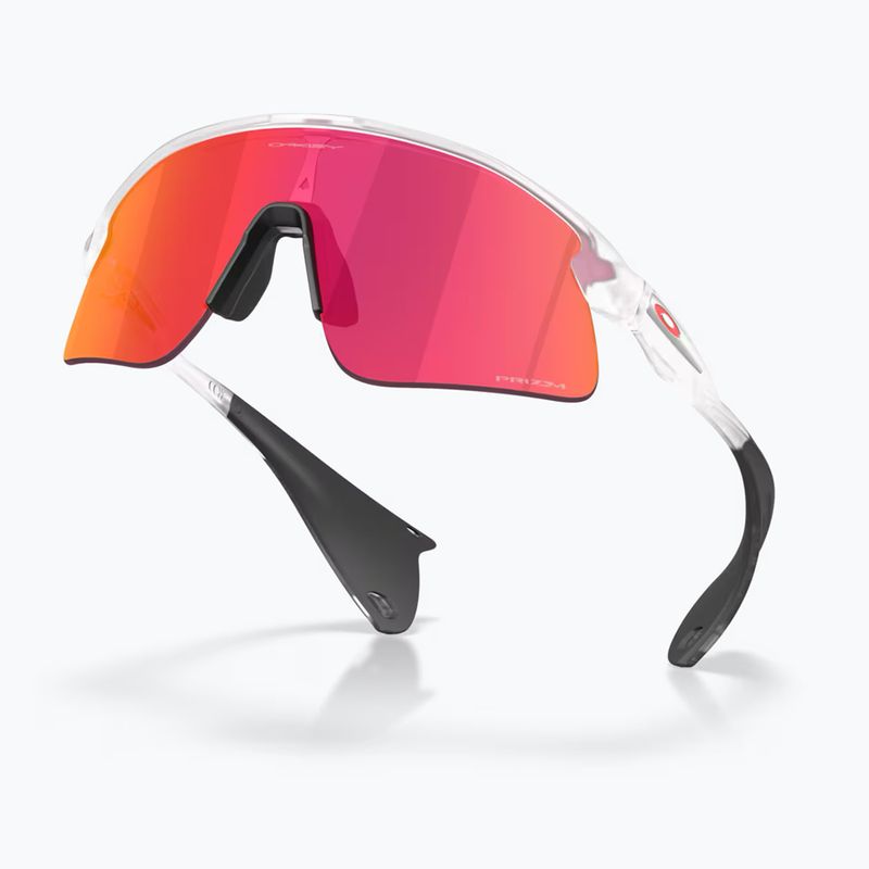 Occhiali da sole Oakley Stunt Devil matte clear/prizm field 4