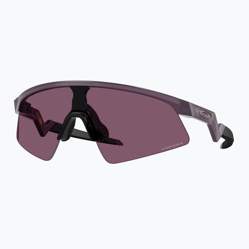 Occhiali da sole per bambini Oakley Resistor Sweep trans aubergine/prizm indigo